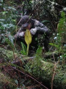 10364118_10206015692655642_1402794688373360513_n