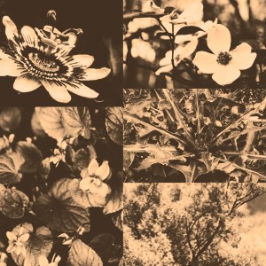 thankyouforbeingafriend